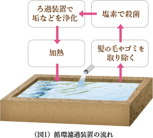 (図1)循環濾過装置の流れ